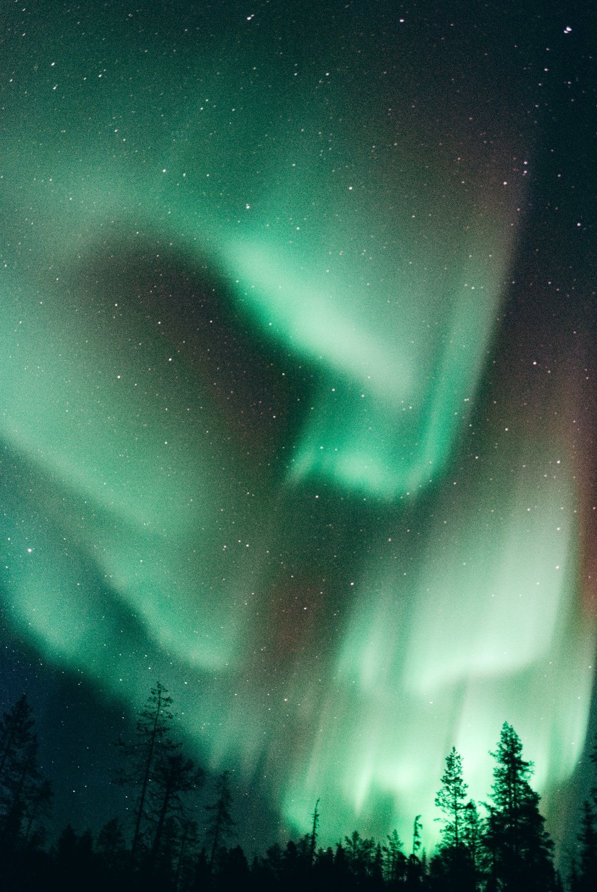 Five Canadian Winter Trips Worth Planning for 2026 and 27 — supporting image 2